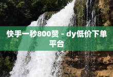 快手一秒800赞 - dy低价下单平台-子潇网络