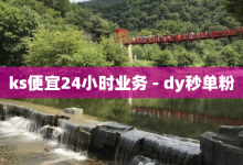 ks便宜24小时业务 - dy秒单粉-子潇网络