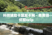 科技辅助卡盟发卡网 - 免费领优酷svip-子潇网络