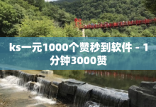 ks一元1000个赞秒到软件 - 1分钟3000赞-子潇网络