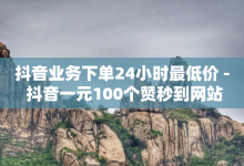 抖音业务下单24小时最低价 - 抖音一元100个赞秒到网站-子潇网络