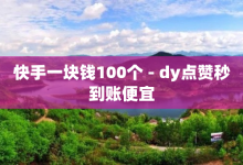 快手一块钱100个 - dy点赞秒到账便宜-子潇网络