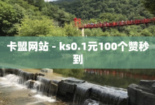 卡盟网站 - ks0.1元100个赞秒到-子潇网络