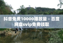 抖音免费10000播放量 - 百度网盘svip免费领取-子潇网络