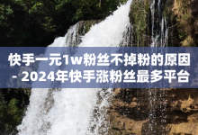 快手一元1w粉丝不掉粉的原因 - 2024年快手涨粉丝最多平台-子潇网络