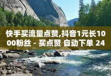 快手买流量点赞,抖音1元长1000粉丝 - 买点赞 自动下单 24小时 - 10000赞免费下单平台-子潇网络