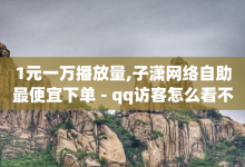 1元一万播放量,子潇网络自助最便宜下单 - qq访客怎么看不见了 - qq空间访客量跟访客人数不同-子潇网络