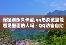 绿钻刷永久卡盟,qq总浏览量能看见里面的人吗 - QQ访客自助网址 - 抖音自助业务网-子潇网络