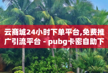 云商城24小时下单平台,免费推广引流平台 - pubg卡密自助下单全网最便宜 - 抖音粉丝特价-子潇网络