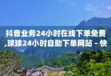 抖音业务24小时在线下单免费,球球24小时自助下单网站 - 快手涨热度app - 抖音怎样才能吸粉-子潇网络