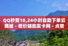 QQ秒赞10,24小时自助下单云商城 - 低价辅助发卡网 - 点赞低价商城-子潇网络