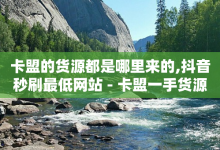 卡盟的货源都是哪里来的,抖音秒刷最低网站 - 卡盟一手货源批发发卡网站 - QQ访客周报会自动保存吗-子潇网络