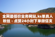 全网最低价业务网站,ks单真人粉丝 - 点赞24小时下单微信支付 - 抖音怎样养好流量多-子潇网络