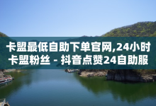 卡盟最低自助下单官网,24小时卡盟粉丝 - 抖音点赞24自助服务平台 - 卡盟自助24小时下单平台-子潇网络