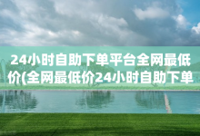 24小时自助下单平台全网最低价(全网最低价24小时自助下单平台)-子潇网络