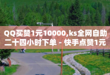 QQ买赞1元10000,ks全网自助二十四小时下单 - 快手点赞1元100个赞在线下 - 1元100点赞自助小红书-子潇网络