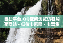 自助平台,QQ空间浏览访客购买网站 - 低价卡密网 - 卡盟货源网-子潇网络