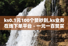 ks0.1元100个赞秒到,ks业务在线下单平台 - 一元一百赞买赞平台微信支付 - 快手业务低价自助平台超低价-子潇网络