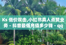 Ks 低价双击,小红书真人点赞业务 - 抖音最低充值多少钱 - qq大会员低价开通网站-子潇网络