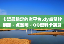 卡盟最稳定的老平台,dy点赞秒到账 - 点赞网 - QQ资料卡买赞网-子潇网络