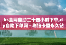 ks全网自助二十四小时下单,dy自助下单网 - 刷钻卡盟永久钻网站 - qq访客周报-子潇网络