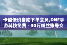 卡盟低价自助下单会员,DNF手游科技免费 - 30万粉丝账号交易价格 - dy号哪里去买-子潇网络