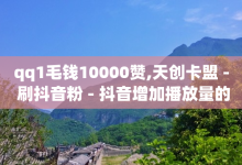 qq1毛钱10000赞,天创卡盟 - 刷抖音粉 - 抖音增加播放量的软件-子潇网络