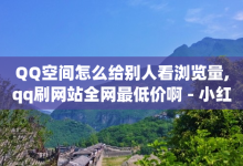 QQ空间怎么给别人看浏览量,qq刷网站全网最低价啊 - 小红书点赞关注任务平台 - ks业务自助下单软件最低价-子潇网络