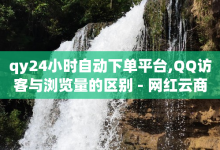 qy24小时自动下单平台,QQ访客与浏览量的区别 - 网红云商app官方下载 - ma卖快手号平台-子潇网络