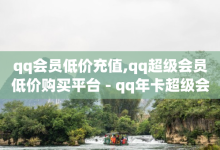 qq会员低价充值,qq超级会员低价购买平台 - qq年卡超级会员活动价 - 卡盟排行榜网站-子潇网络