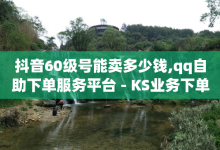 抖音60级号能卖多少钱,qq自助下单服务平台 - KS业务下单平台 - 网红商城快手业务-子潇网络