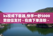 ks视频下载器,快手一秒5000赞微信支付 - 在线下单涨粉 - 王者荣耀主页刷热度网站-子潇网络