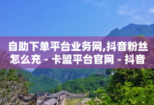 自助下单平台业务网,抖音粉丝怎么充 - 卡盟平台官网 - 抖音评论挣钱是什么套路-子潇网络