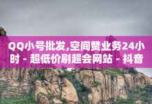 QQ小号批发,空间赞业务24小时 - 超低价刷超会网站 - 抖音快手机房-子潇网络