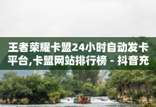 王者荣耀卡盟24小时自动发卡平台,卡盟网站排行榜 - 抖音充值平台哪个靠谱 - 卡商卡盟在线批发平台-子潇网络