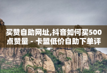 买赞自助网址,抖音如何买500点赞量 - 卡盟低价自助下单评论赞 - 低价卡盟全网低价-子潇网络