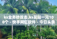 ks业务秒双击,ks买站一元100个 - 快手网红软件 - 今日头条自助平台业务下单-子潇网络