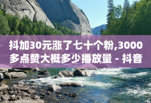 抖加30元涨了七十个粉,3000多点赞大概多少播放量 - 抖音充值微信步骤 - qq业务平台网站-子潇网络