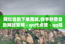 网红自助下单商城,快手秒赞自助网站官网 - qq代点赞 - qq短视频怎么涨粉丝最快-子潇网络