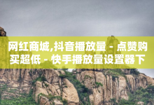 网红商城,抖音播放量 - 点赞购买超低 - 快手播放量设置器下载-子潇网络