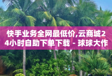 快手业务全网最低价,云商城24小时自助下单下载 - 球球大作战吐球加速器ios - 1元秒刷1000粉-子潇网络