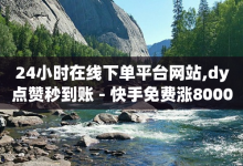 24小时在线下单平台网站,dy点赞秒到账 - 快手免费涨8000粉丝 - 每日可以免费领1000播放量-子潇网络