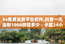 ks免费业务平台软件,抖音一元涨粉1000微信多少 - 卡盟24小时 - 快手刷微信支付24小时-子潇网络