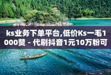 ks业务下单平台,低价Ks一毛1000赞 - 代刷抖音1元10万粉可靠吗 - 3元10000粉丝自助下单-子潇网络