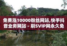 免费涨10000粉丝网站,快手抖音业务网站 - 刷SVIP网永久免费网站不封号 - 快手亲密关系打call怎么取消-子潇网络