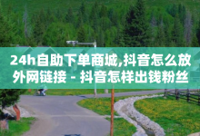 24h自助下单商城,抖音怎么放外网链接 - 抖音怎样出钱粉丝上1000粉丝 - 点卡卡盟平台-子潇网络