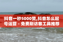 抖音一秒5000赞,抖音怎么起号运营 - 免费刷访客工具推荐 - 抖音怎样涨粉丝最快最有效-子潇网络