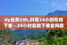 dy业务24h,抖音24小时在线下单 - 24小时自助下单全网最低价ks - 快手点赞自助平台-子潇网络