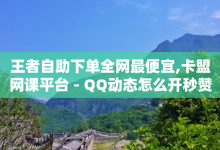 王者自助下单全网最便宜,卡盟网课平台 - QQ动态怎么开秒赞 - 回森账号购买-子潇网络