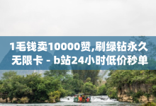 1毛钱卖10000赞,刷绿钻永久 无限卡 - b站24小时低价秒单业务 - dy赞业务-子潇网络